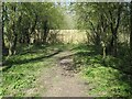 Southern fence across the railway embankment, Goodmanham