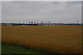 A field near Northfield Farm, Retford Road, Woodbeck