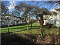 SP3364 : Freshwater Grove, Sydenham Estate, Leamington by Robin Stott