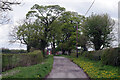 Lane to Cashheath Farm