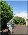 Coleridge Road after a downpour