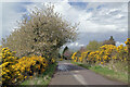 Colour at Conon Brae