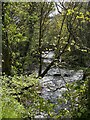 Bridge over Afon Tarell