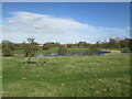 Large  pond  in  field  near  Seaton