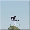 Weather vane at Angmering Park Stud Farm