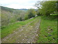 Track and path on the valley side