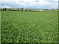 Farmland near Abson