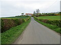 Hedge-lined minor road approaching Blindwell