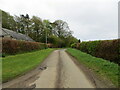 Hedge-lined minor road approaching Auchindownie