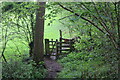 Gate from woodland to riverside meadow