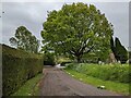 Church Lane (Eaton Bishop)