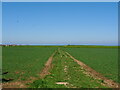 Public Footpath to Bacton Beach