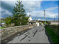 Monkey Puzzle tree, Green Balk Lane, Lepton