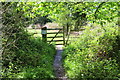 Gate on footpath, Usk Valley Walk