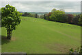 Deer park, Prideaux Place