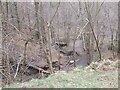 Footbridge over Unnamed Stream