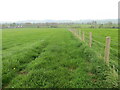 Fields divided by fencing near Catterlen