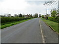 Road at Henleybank, Catterlen