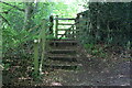 Steps to rear of garden fence of The Beeches