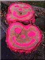 Smiley faces painted on tree stumps