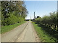 Lane  to  Warter  approaching  Coldwold  Cottages