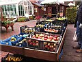 Fruit on sale at Hill Close Gardens