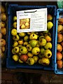 Wyken Pippins on sale at Hill Close Gardens, Warwick