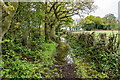 A Damp Red Lane, Madeley