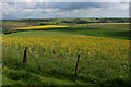 View from Scratchbury Camp