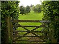 Bridleway gate?