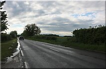TL1529 : Hexton Road west of Hitchin by David Howard