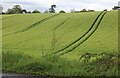 Sloping field by Hexton Road