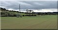 A terminal pylon at Beauly