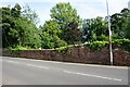 Wall and woodland on SE side of Petteril Bank Road