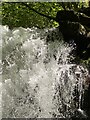 Cascade of water