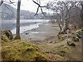 NN6923 : Shore of Loch Earn by Richard Webb