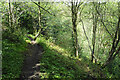 Footpath above the Amber valley