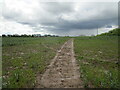 SO9151 : Muddy path at Egdon by Jonathan Thacker