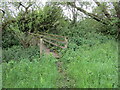 Footbridge over a drain