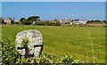 Wayside cross at Trevilley