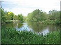 Pool, Warwick University campus