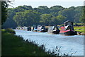 SJ6735 : Moored narrowboats near Brownhills Farm by Mat Fascione