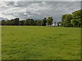 Field near Edge of Limekilns