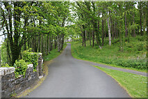 NS2310 : Road to Home Farm Visitor Centre, Culzean Country Park by Billy McCrorie