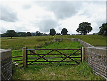 SJ9453 : Farm track near Hazelhurst Junction in Staffordshire by Roger  D Kidd