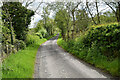 Liscabble Road, Moyle Glebe