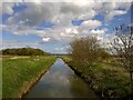 River Derwent at Foulbridge