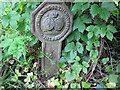 SU8685 : Thames Conservancy marker or boundary post near Marlow by David Hawgood