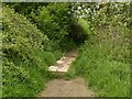 Plank footbridge on the path from Lambley to Spring Lane Farm