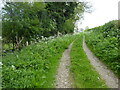 Track and path near Welshampton